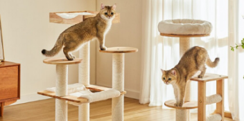 兽牌猫爬架质量如何 兽牌猫爬架质量如何
