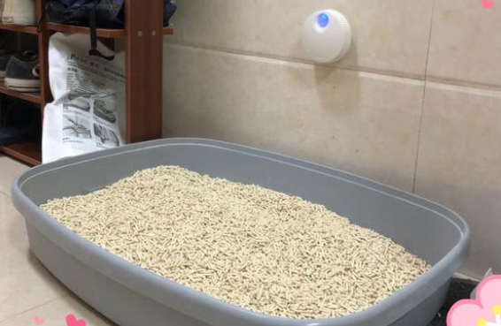 uah有哈宠物智能净味器测评效果如何 uah有哈宠物智能净味器测评效果如何