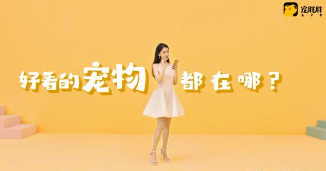 宠胖胖广告谁拍的