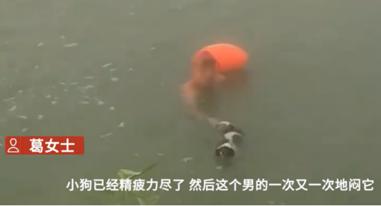 安徽一男子多次将狗闷在河水中挣扎，可恶至极！