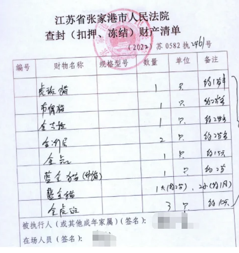 男子欠钱不还 12只猫咪被拍卖抵债