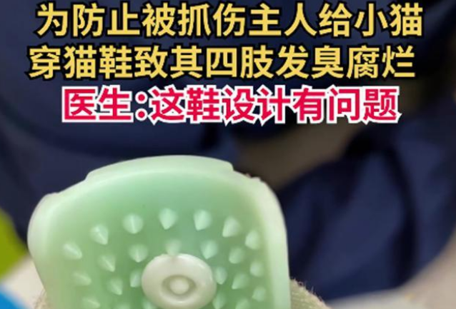 猫鞋设计不合理，变成虐猫工具！