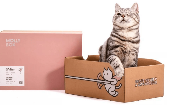 魔力猫盒完成2000万美元融资，今后的国内宠物电商该如何发展？