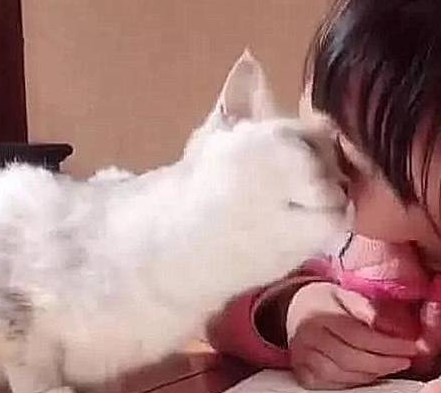 女儿成绩下滑严重，为了找出原因，女子躲在门缝才发现和家猫有关