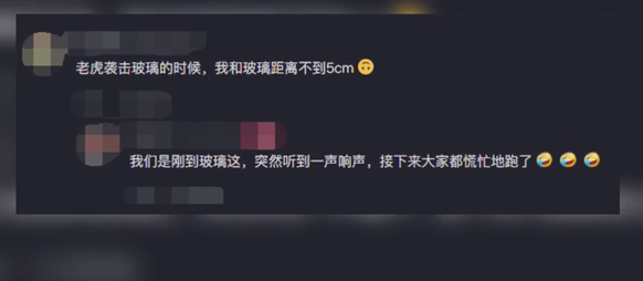 老虎拍碎玻璃游客逃窜?济南动物园回应:已赶回笼舍,暂不对外开放 老虎拍碎玻璃游客逃窜?济南动物园回应:已赶回笼舍,暂不对外开放