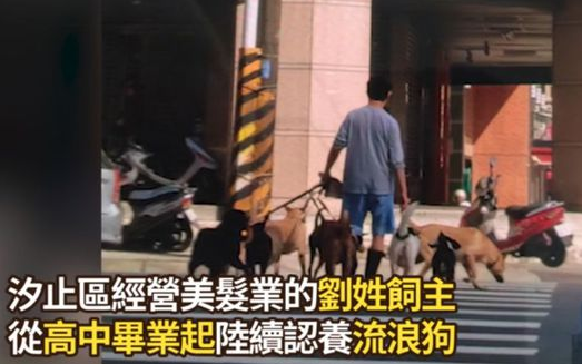 养了33只狗被投诉，可工作人员进屋一看非常惊讶：这也太舒适了吧！