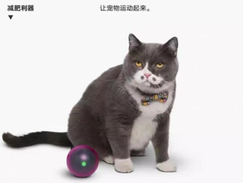 PIDAN创始人马文飞：好品牌需合理毛利探索更高标准