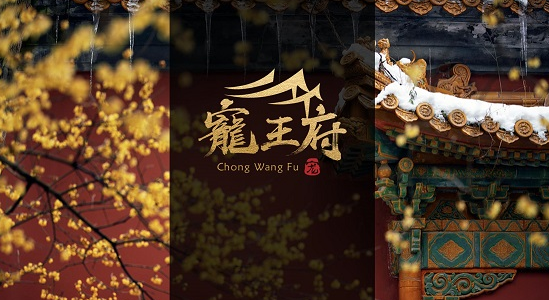 宠王府狗粮质量怎么样 宠王府狗粮质量怎么样