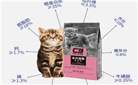 城市名猫展｜C3帕缇朵杯国际名猫文化主题巡回展闪耀青岛，强势打卡！