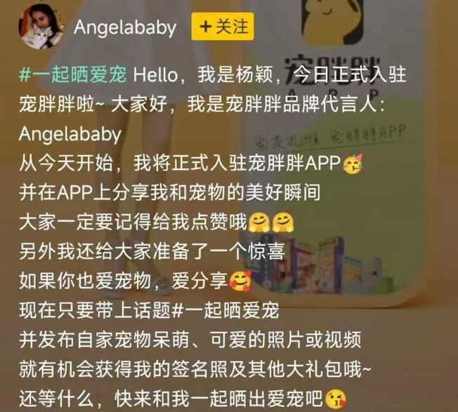 宠胖胖官宣的品牌代言人是谁 宠胖胖官宣的品牌代言人是谁