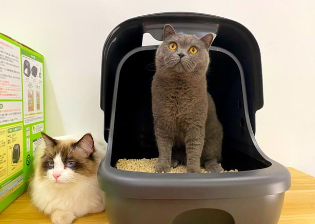 猫砂盆选佳乐滋准没错,颜值高还干净好打理 猫砂盆选佳乐滋准没错,颜值高还干净好打理