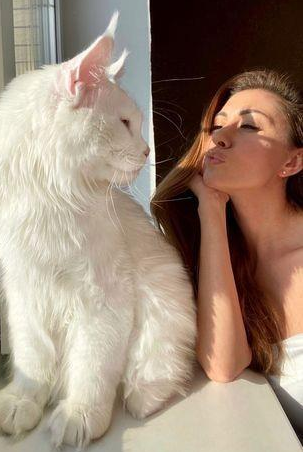 世界上最大的猫，和两岁小孩一样高，威严外表下有颗乖巧的心