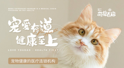 萌兽医馆介绍 萌兽医馆介绍