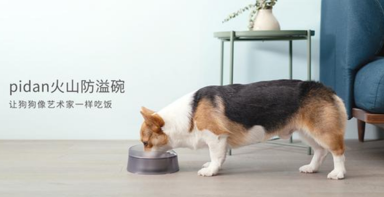 pidan狗碗新品上线 品牌布局多向发展 pidan狗碗新品上线 品牌布局多向发展