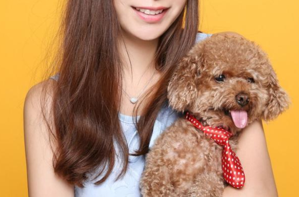 为什么养泰迪的女人不能要 为什么养泰迪的女人不能要