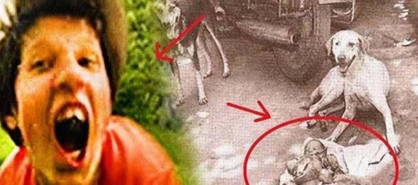 被狗抚养长大的乌克兰女孩，现实版“狗女”，后来变成什么样了