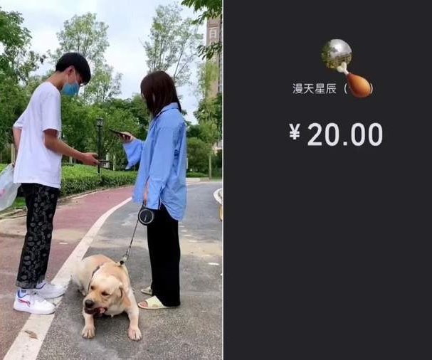 拉布拉多强抢路人鸡腿,吃货属性暴露无遗,结果女主人赔钱又道歉 拉布拉多强抢路人鸡腿,吃货属性暴露无遗,结果女主人赔钱又道歉