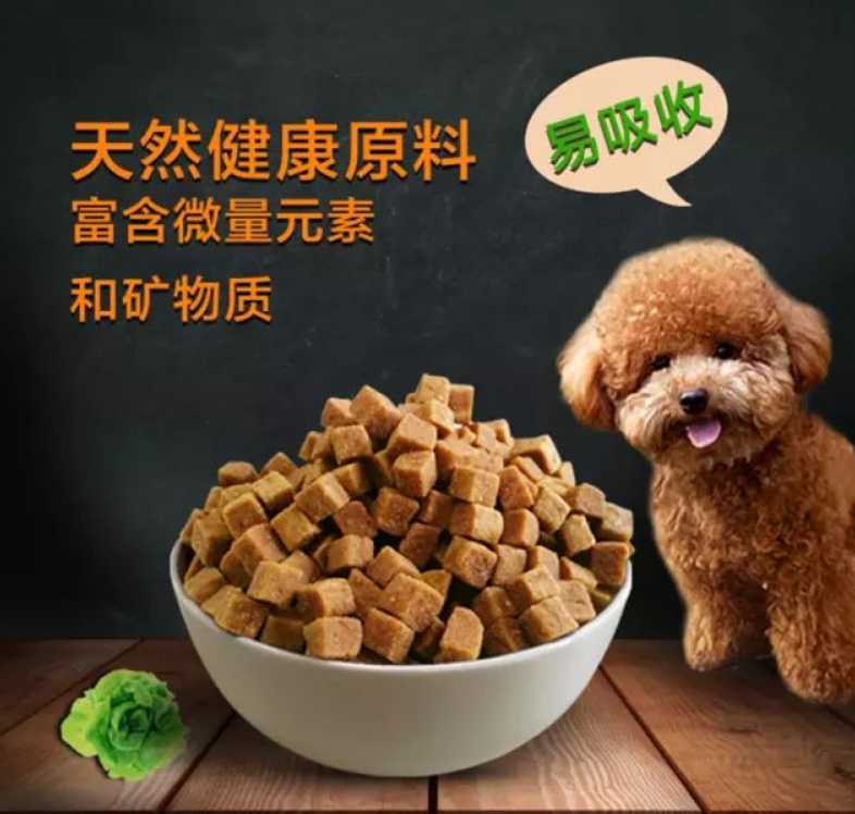 新宠之康专注宠物健康食粮