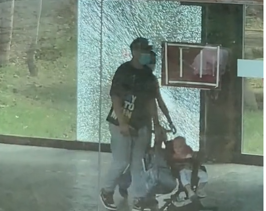 老虎拍碎玻璃游客逃窜?济南动物园回应:已赶回笼舍,暂不对外开放 老虎拍碎玻璃游客逃窜?济南动物园回应:已赶回笼舍,暂不对外开放