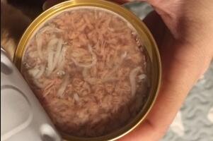 哈根纽翠斯猫罐头测评