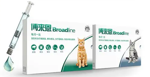 博来恩猫外驱虫的正确方法