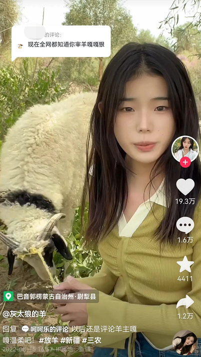 00后牧羊女孩走红:8分钟宰一只羊,一包干脆面就能召唤羊群 00后牧羊女孩走红:8分钟宰一只羊,一包干脆面就能召唤羊群