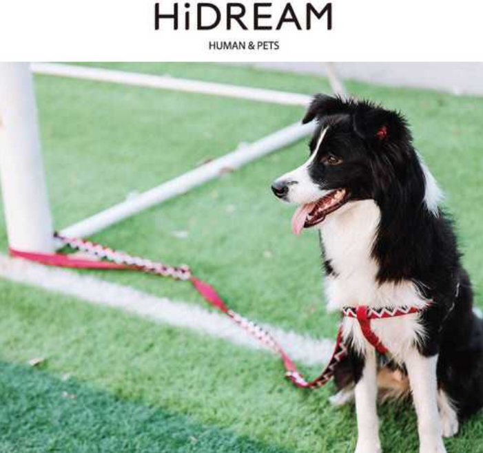 hidream宠物项圈——宠物出行好装备! hidream宠物项圈——宠物出行好装备!