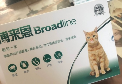 博莱恩驱虫药使用注意事项 博莱恩驱虫药使用注意事项