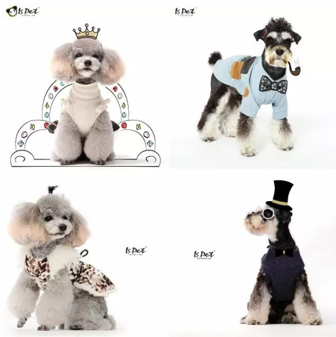 Ispet 秋冬新品系列曝光丨PetFashionShow国际时装秀 Ispet 秋冬新品系列曝光丨PetFashionShow国际时装秀