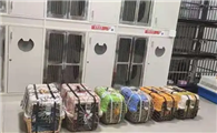 高铁托运一只狗要多少钱