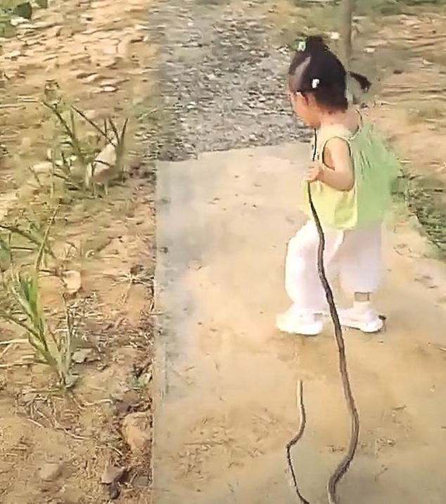 2岁半女娃拿蛇干当玩具，反问妈妈：都死了还怕呀！