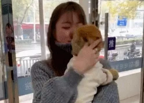 铲屎官偶遇6个月前丢失的狗，狗狗：我还以为你不要我了！