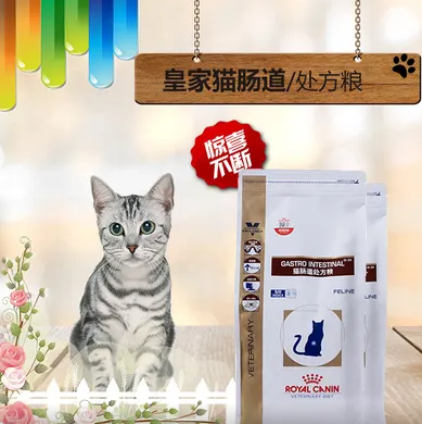 皇家肠道处方猫粮怎么样 皇家肠道处方猫粮怎么样