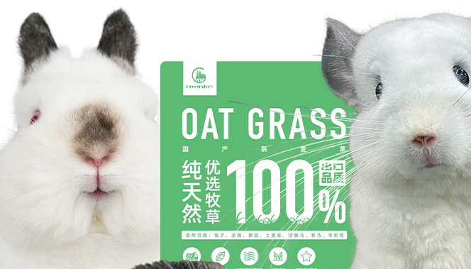 童话世界牧场的草可入吗