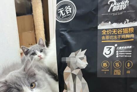 醇粹鲜肉猫粮和黑标区别 醇粹鲜肉猫粮和黑标区别