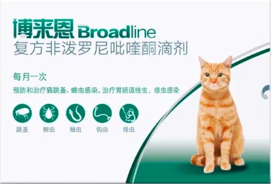 使用博来恩多长时间起效果 使用博来恩多长时间起效果