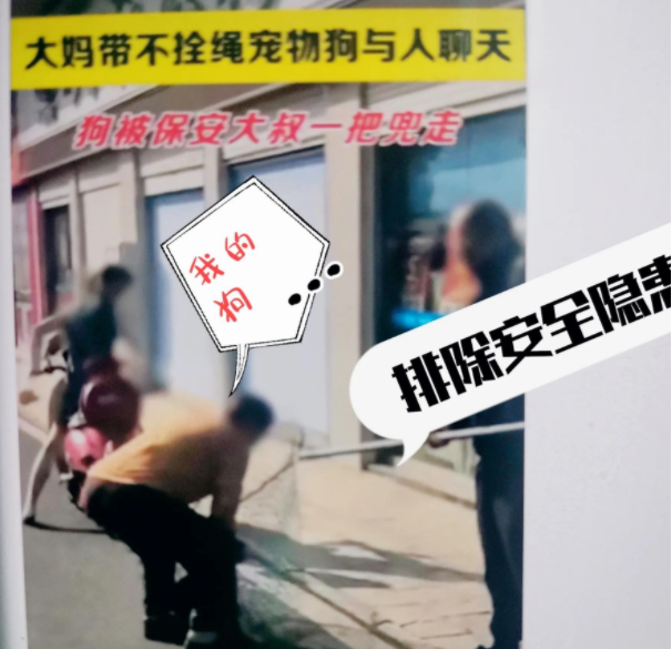 保安大叔让你见识到,什么叫做速度,大妈不牵狗绳,就该套起来 保安大叔让你见识到,什么叫做速度,大妈不牵狗绳,就该套起来