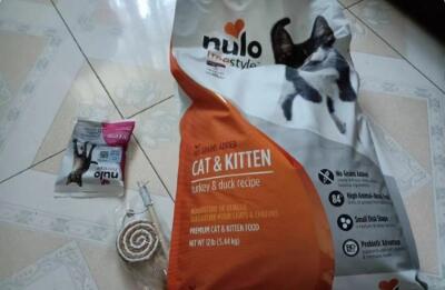 nulo猫粮什么口味比较好