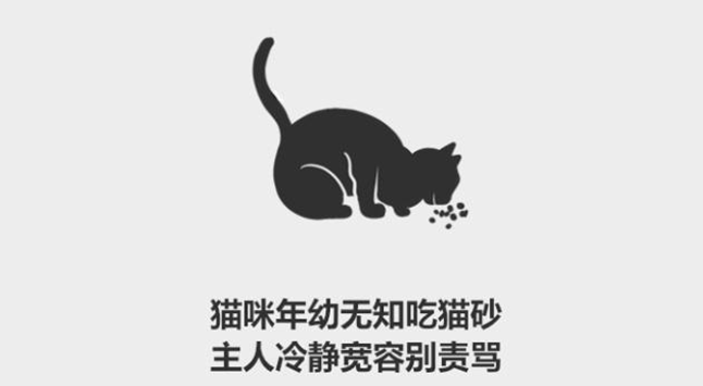 猫为啥吃猫砂 猫为啥吃猫砂