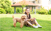 小泰迪拉肚子吃什么药好得快