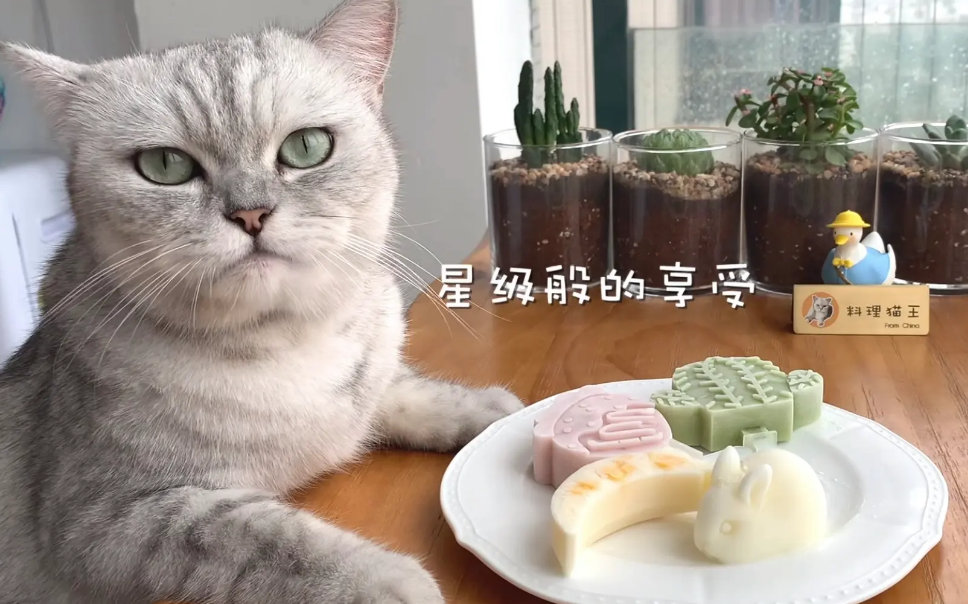 料理猫王是中国的吗