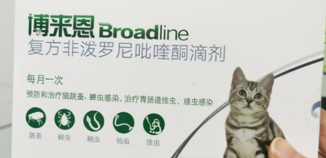 博来恩跟大宠爱哪个好
