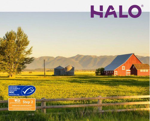Halo自然光环中国五周年: “纯鲜肉,0肉粉” 造就软便克星 Halo自然光环中国五周年: “纯鲜肉,0肉粉” 造就软便克星