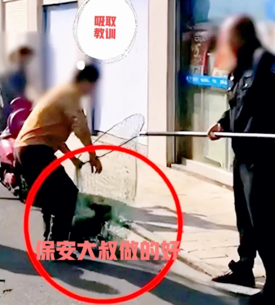 保安大叔让你见识到,什么叫做速度,大妈不牵狗绳,就该套起来 保安大叔让你见识到,什么叫做速度,大妈不牵狗绳,就该套起来