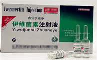 柯基犬能不能用伊维菌素