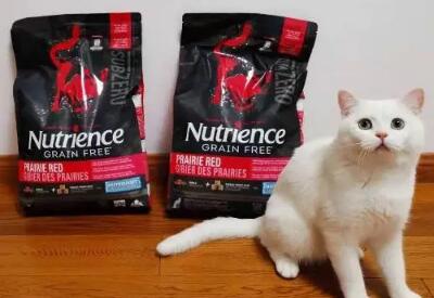 哈根纽翠斯和纽翠斯猫粮区别 哈根纽翠斯和纽翠斯猫粮区别