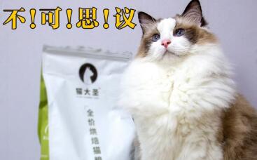 猫大圣烘焙猫粮怎么样 猫大圣烘焙猫粮怎么样
