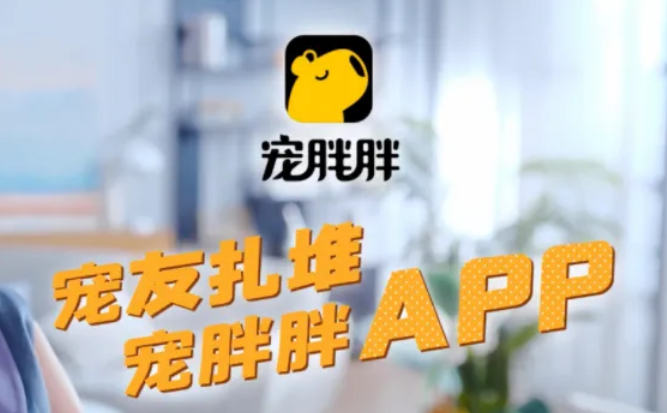 宠胖胖app最新消息 宠胖胖app最新消息