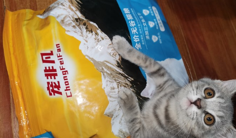 宠非凡猫粮多少钱