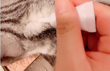 普安特猫咪驱虫药怎么样